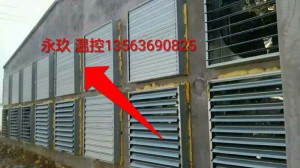 風(fēng)機(jī)安裝現(xiàn)場