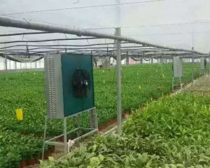 風(fēng)機(jī)安裝現(xiàn)場