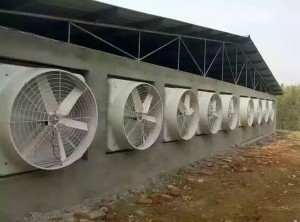 風(fēng)機(jī)安裝現(xiàn)場